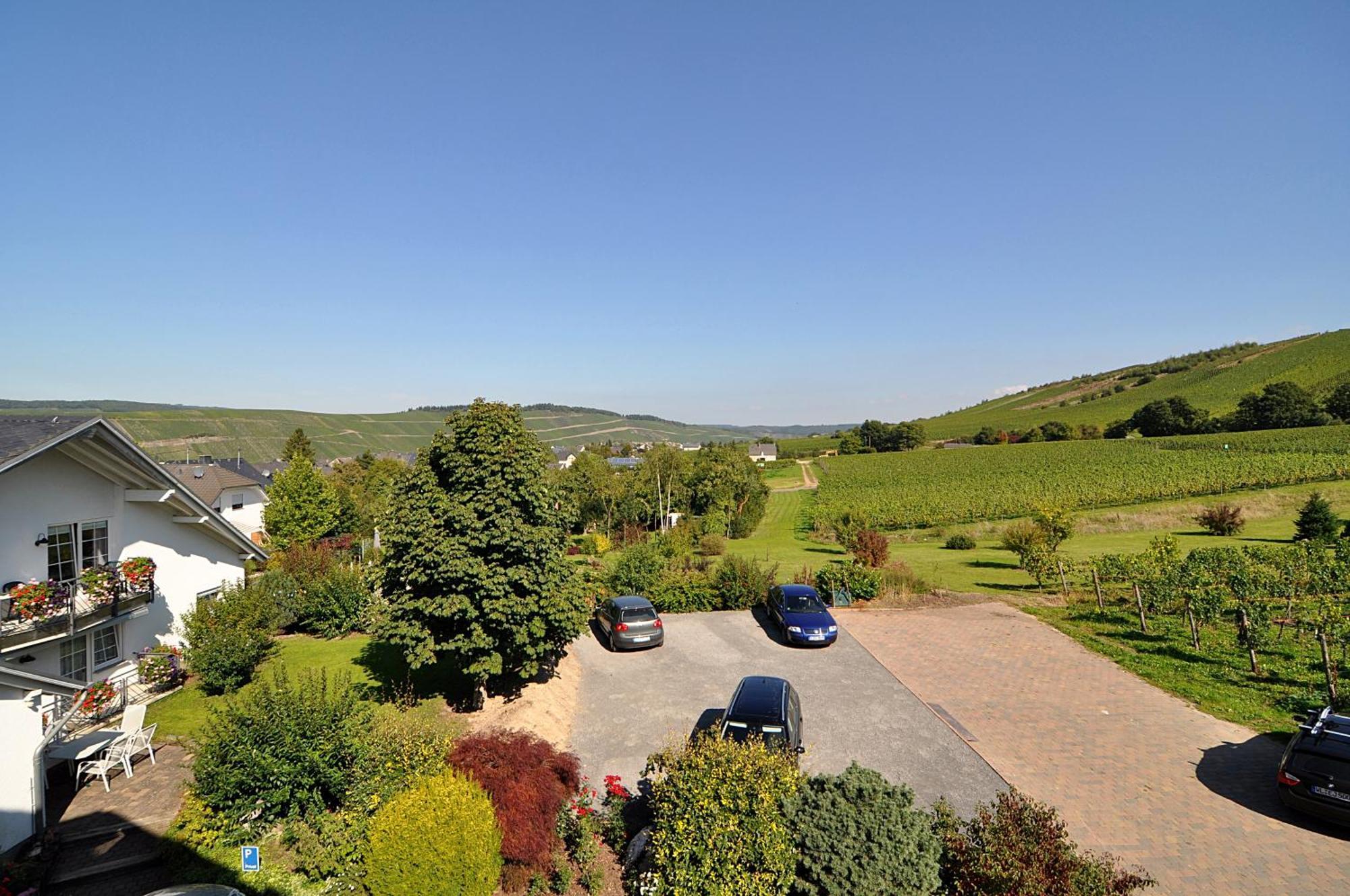 Hotel Weingut Gehlen-Cornelius à Brauneberg Extérieur photo