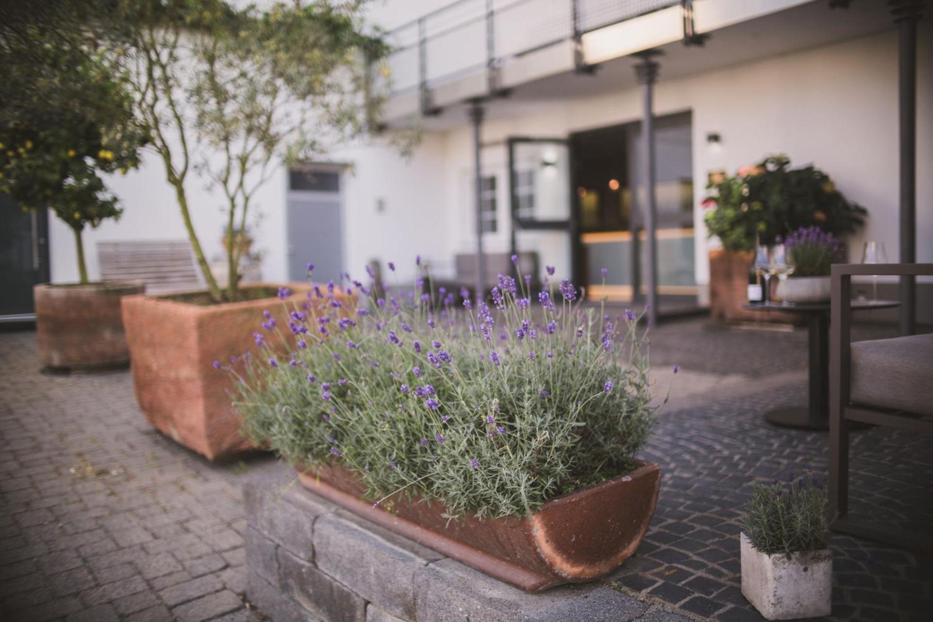 Hotel Weingut Gehlen-Cornelius à Brauneberg Extérieur photo